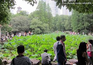 Shangai CHarlotte 015